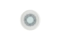 Assiette à bord droit rond Aquamarine porcelaine vitrifiée Ø 21 cm Fusion - CHURCHILL Online