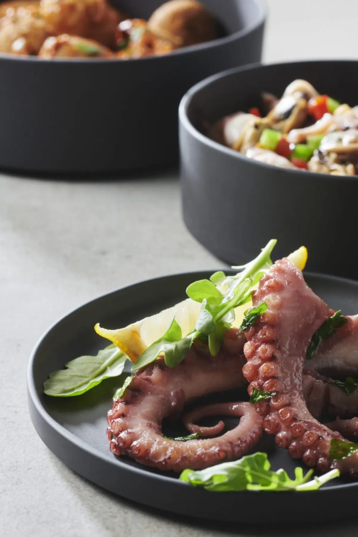 REVOL Assiette à bord droit rond noir porcelaine culinaire Ø 23 cm Caractère