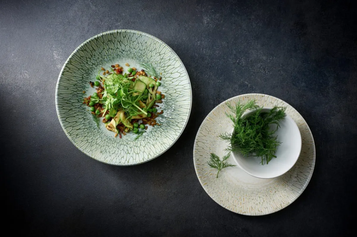 DUDSON Assiette à bord droit vert porcelaine vitrifiée Ø 21 cm Butterfly Clearance
