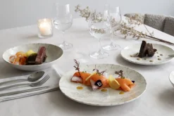 ACCOLADE Assiette coupe creuse gris grès émaillé Ø 22 cm Sirocco Outlet