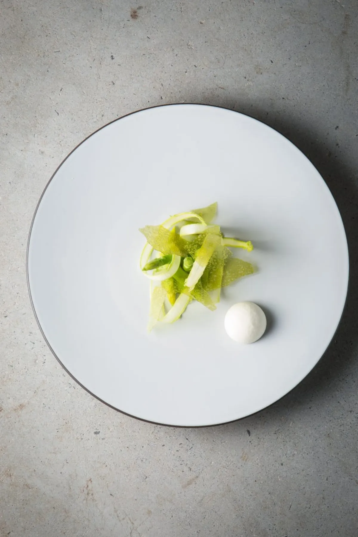 Assiette coupe creuse rond bleu porcelaine culinaire Ø 24 cm Equinoxe - REVOL Clearance