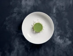 RAK Assiette coupe creuse rond blanc porcelaine bone china Ø 26,6 cm Spectra Best