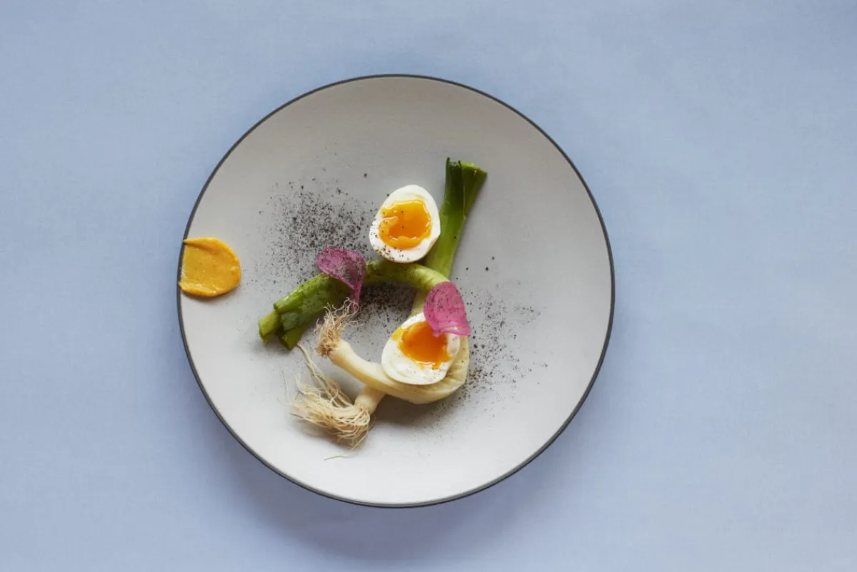 Assiette coupe creuse rond bleu porcelaine culinaire Ø 15 cm Equinoxe - REVOL