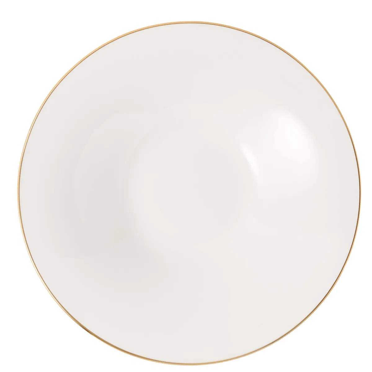 CHURCHILL Assiette coupe creuse rond bleu porcelaine vitrifiée Ø 18,2 cm Astro Hot