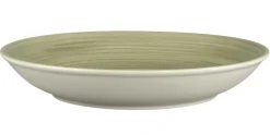 Assiette coupe creuse rond Emerald porcelaine vitrifiée Ø 29,8 cm stone Spot - RAK Hot