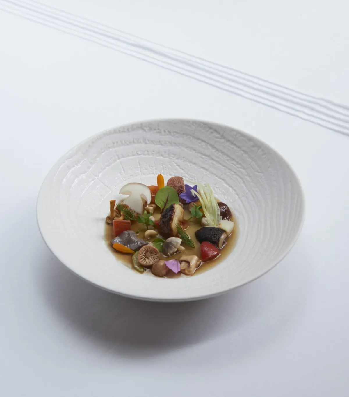 REVOL Assiette coupe creuse rond ivoire porcelaine culinaire Ø 27 cm Arborescence Hot
