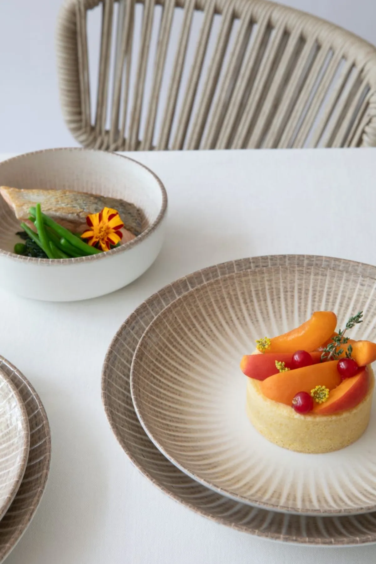 Assiette coupe creuse rond porcelaine Ø 23 cm Palma - ACCOLADE