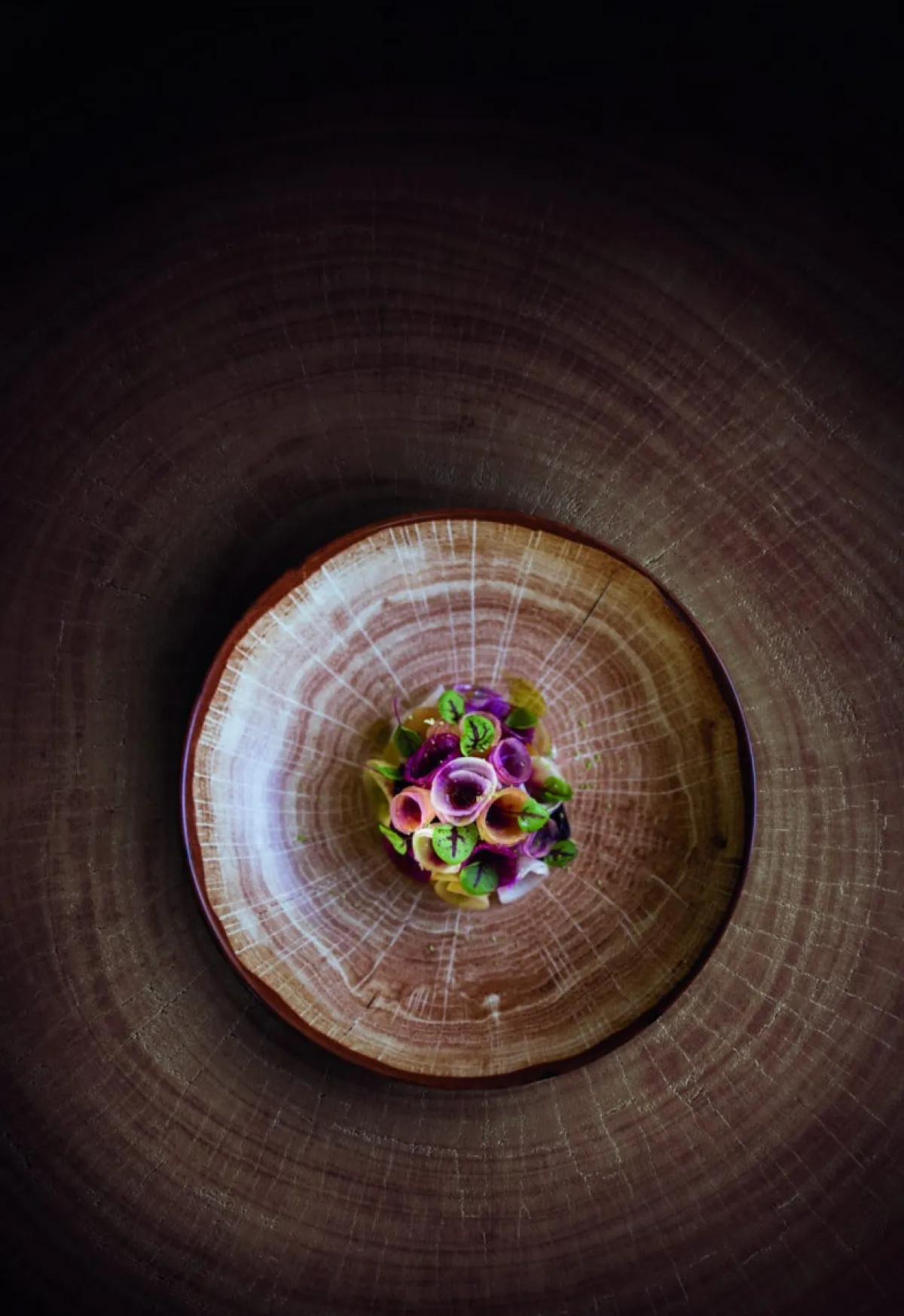 Assiette coupe creuse rond timber porcelaine vitrifiée Ø 25,9 cm Woodart - RAK Discount