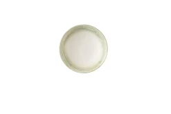Assiette coupe creuse rond vert porcelaine vitrifiée Ø 18,2 cm Elements Fern - CHURCHILL Discount
