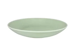 Assiette coupe creuse rond vert porcelaine vitrifiée Ø 29,9 cm Vintage - RAK Best