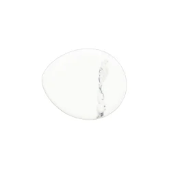 ACCOLADE Assiette coupe plate blanc porcelaine Ø 23 cm Silk Hot