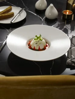 Assiette coupe plate ovale blanc porcelaine 26x18 cm Stella Cosmo - VILLEROY & BOCH Clearance