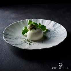 Assiette coupe plate porcelaine vitrifiée Ø 21 cm Smoke - CHURCHILL Best