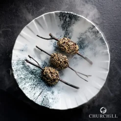 Assiette coupe plate porcelaine vitrifiée Ø 21 cm Smoke - CHURCHILL Best