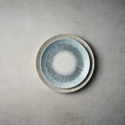 Assiette coupe plate rond Aquamarine porcelaine vitrifiée Ø 28 cm Fusion - CHURCHILL Online