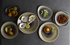 Assiette coupe plate rond aqueous bayou porcelaine vitrifiée Ø 25,5 cm Stonecast Aquaeous - CHURCHILL Best