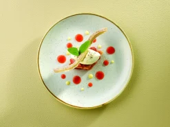 Assiette coupe plate rond barley white porcelaine vitrifiée Ø 28,8 cm Stonecast Barley - CHURCHILL