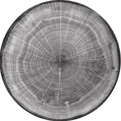 Assiette coupe plate rond beech porcelaine vitrifiée Ø 20,9 cm Woodart - RAK Sale
