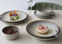 ACCOLADE Assiette coupe plate rond beige porcelaine Ø 24 cm Savanna