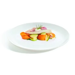 LUMINARC Assiette coupe plate rond blanc verre opal Ø 25 cm Diwali Outlet