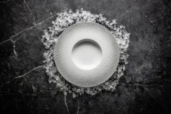 Assiette coupe plate rond blanc porcelaine de limoges Ø 32 cm L' Fragment - DEGRENNE Discount