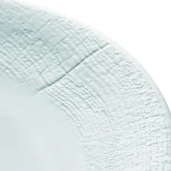 Assiette coupe plate rond blanc porcelaine de limoges Ø 32 cm Supernature - DEGRENNE Sale