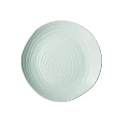 PILLIVUYT Assiette coupe plate rond blanc porcelaine culinaire Ø 21 cm Teck