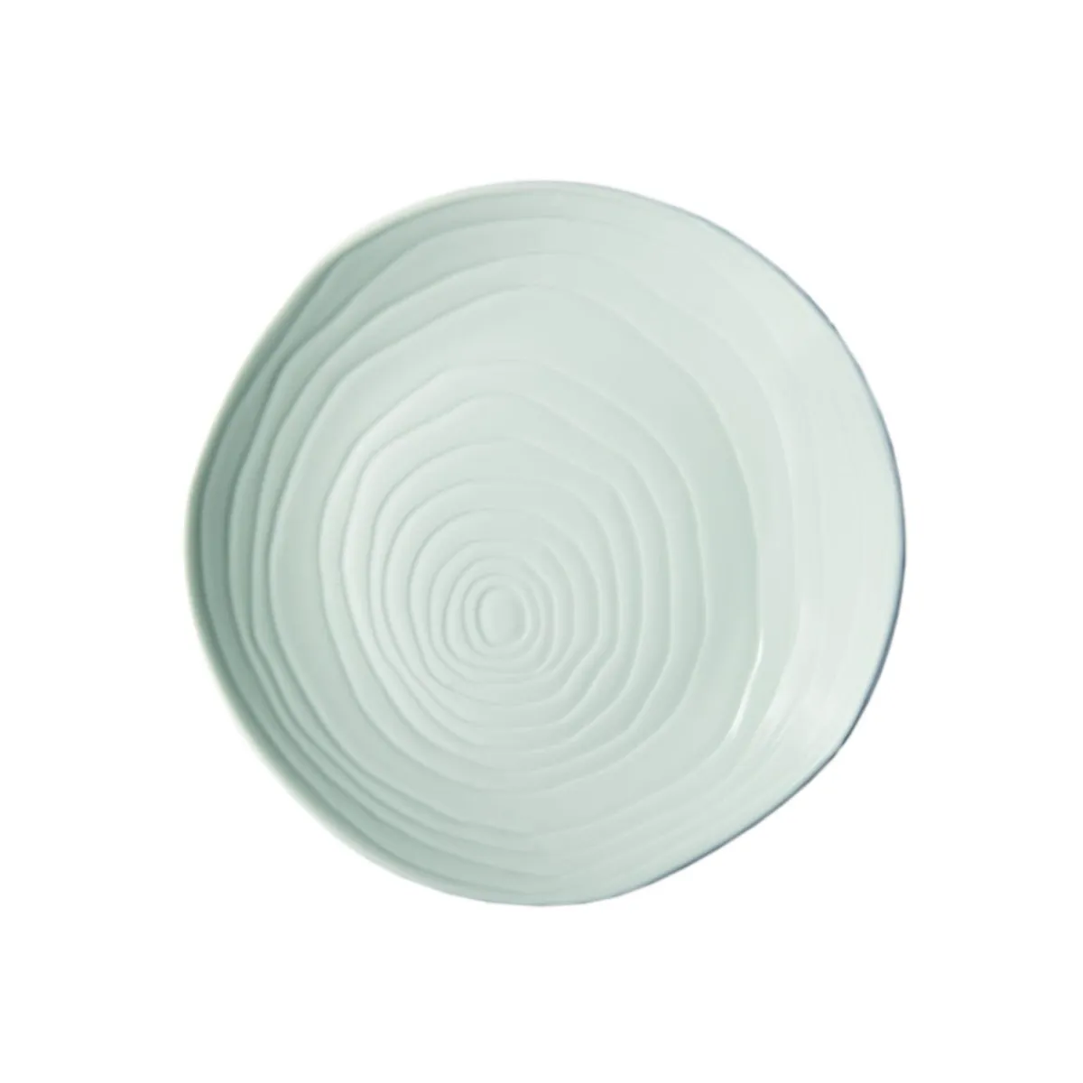 PILLIVUYT Assiette coupe plate rond blanc porcelaine culinaire Ø 21 cm Teck