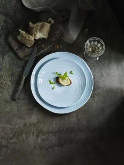 PILLIVUYT Assiette coupe plate rond blanc porcelaine culinaire Ø 16,5 cm Teck Online