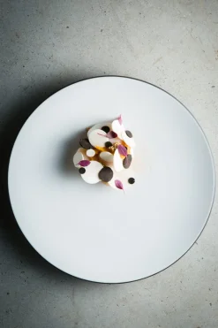 Assiette coupe plate rond blanc porcelaine culinaire Ø 21,5 cm Equinoxe - REVOL