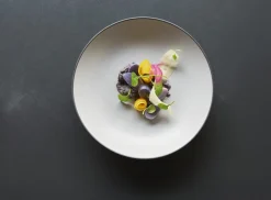 Assiette coupe plate rond blanc porcelaine culinaire Ø 21,5 cm Equinoxe - REVOL