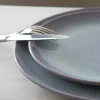 Assiette coupe plate rond bleu porcelaine Ø 24 cm Azure - ACCOLADE Best