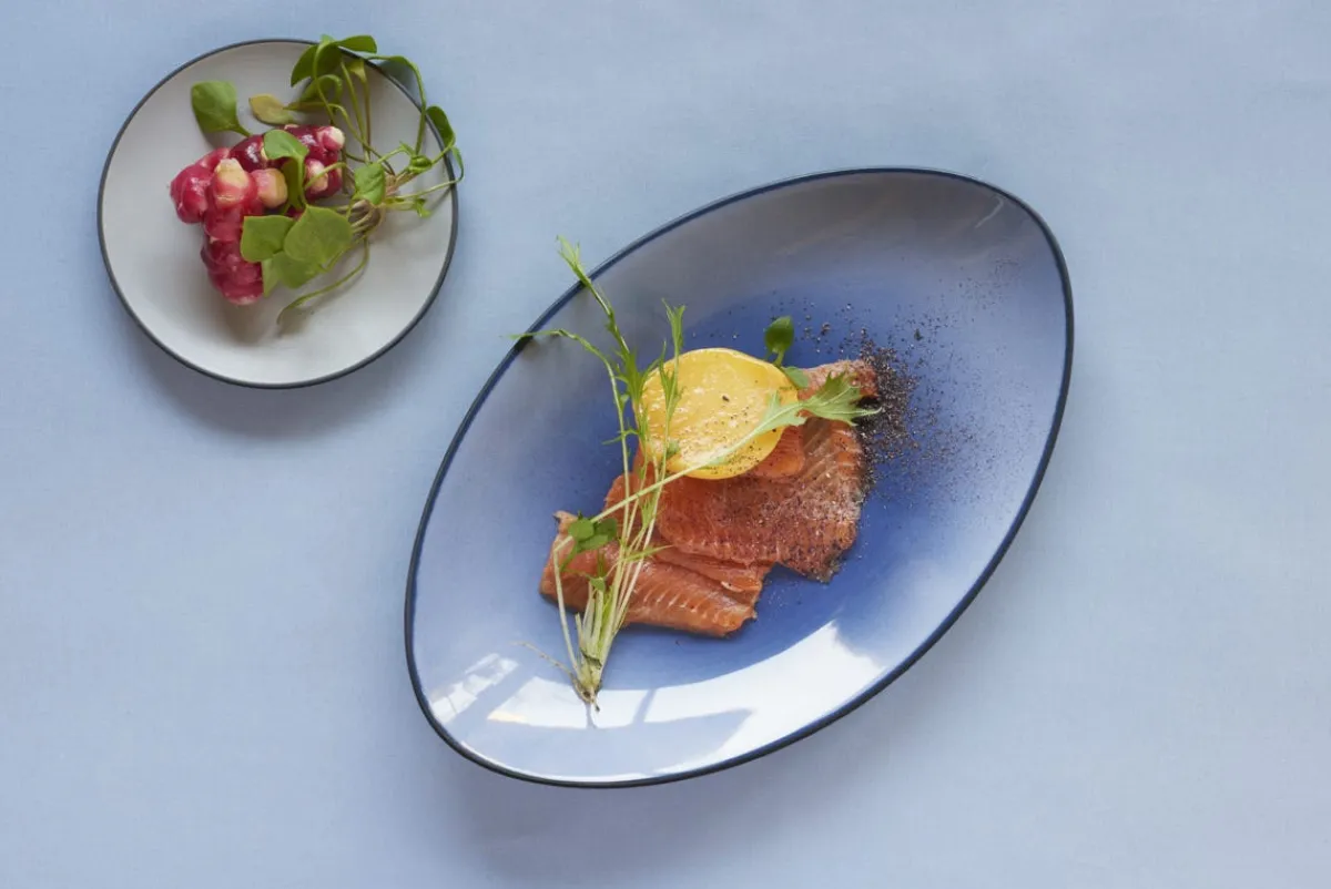 Assiette coupe plate rond bleu porcelaine culinaire Ø 21,5 cm Equinoxe - REVOL Sale