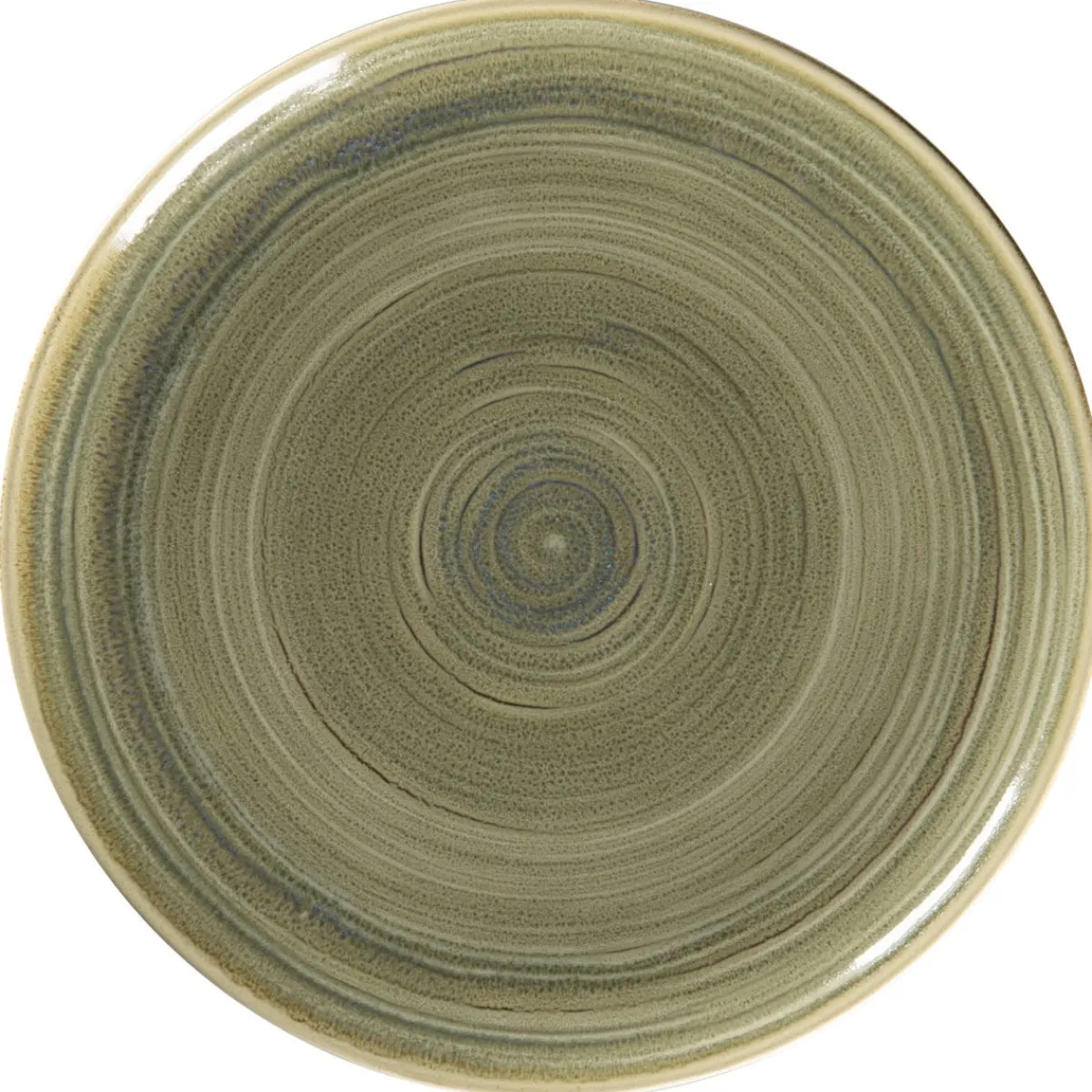 Assiette coupe plate rond Emerald porcelaine vitrifiée Ø 30,7 cm stone Spot - RAK Outlet