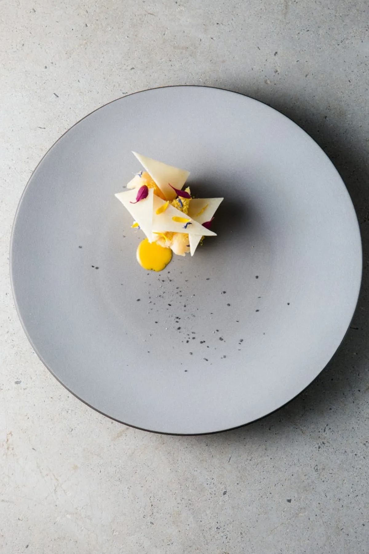 Assiette coupe plate rond gris porcelaine culinaire Ø 31,5 cm Equinoxe - REVOL Sale