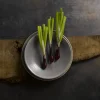 Assiette coupe plate rond gris porcelaine Ø 23 cm Evo Granite - DUDSON Discount