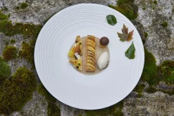 Assiette coupe plate rond ivoire porcelaine culinaire Ø 31 cm Arborescence - REVOL New
