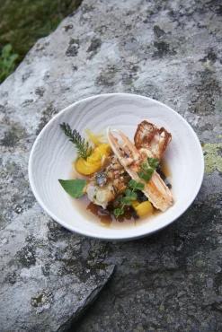 Assiette coupe plate rond ivoire porcelaine culinaire Ø 28,3 cm Arborescence - REVOL Online