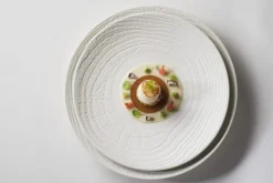 REVOL Assiette coupe plate rond ivoire porcelaine culinaire Ø 21,5 cm Arborescence Best