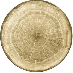 RAK Assiette coupe plate rond moss porcelaine vitrifiée Ø 20,9 cm Woodart