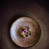 RAK Assiette coupe plate rond moss porcelaine vitrifiée Ø 29,3 cm Woodart Online