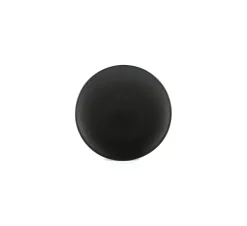 Assiette coupe plate rond noir porcelaine culinaire Ø 16 cm Equinoxe - REVOL Outlet
