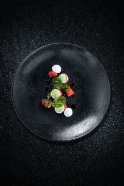 RAK Assiette coupe plate rond noir porcelaine vitrifiée Ø 24 cm Karbon New