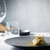REVOL Assiette coupe plate rond noir porcelaine culinaire Ø 21,5 cm Equinoxe Outlet