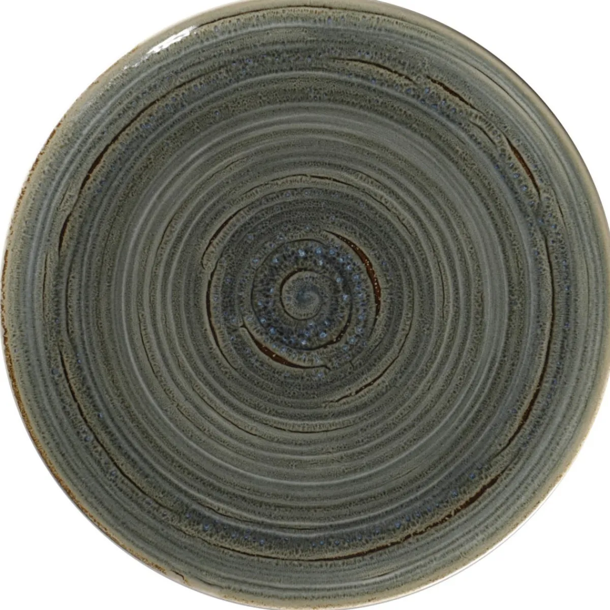 Assiette coupe plate rond Peridot porcelaine vitrifiée Ø 29,3 cm stone Spot - RAK Best