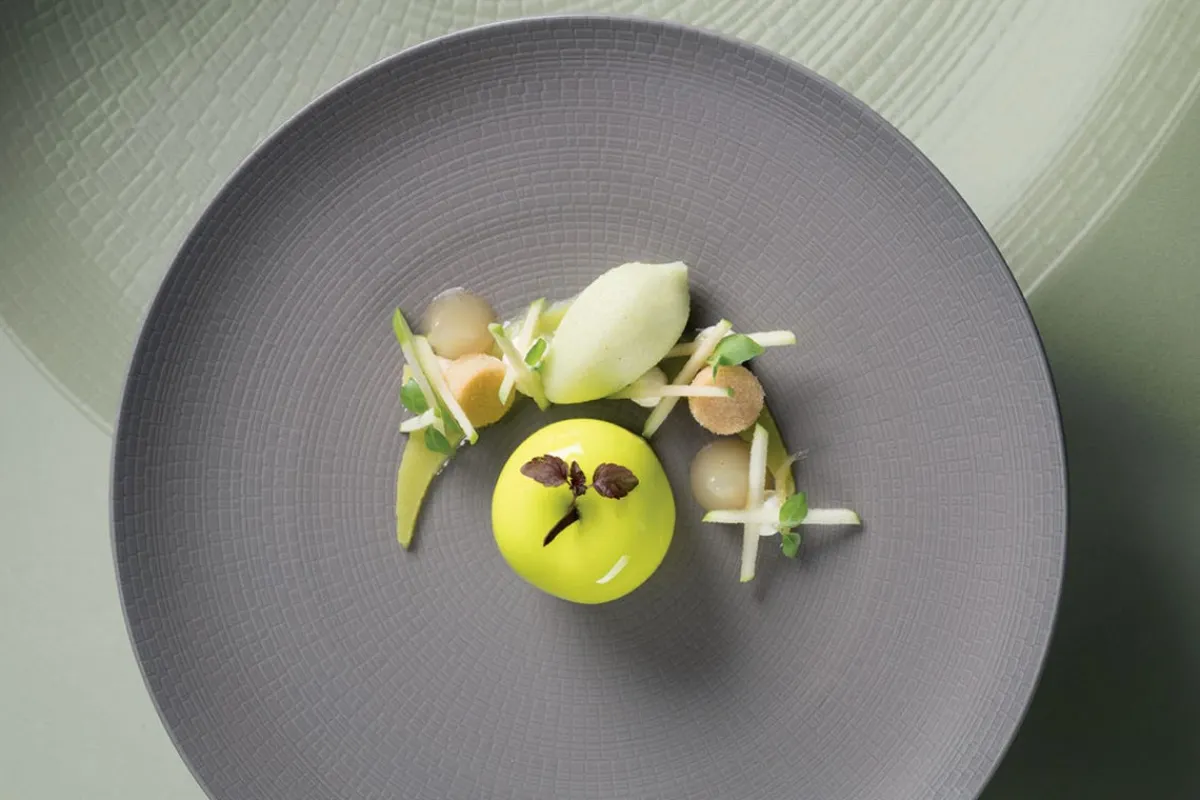 DEGRENNE Assiette coupe plate rond Terre d'ombre grès émaillé Ø 28 cm Modulo Nature Hot