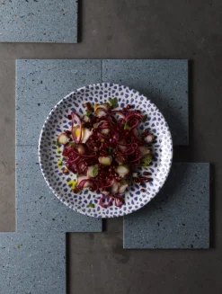 DUDSON Assiette coupe plate rond terracotta porcelaine vitrifiée Ø 26 cm Terrazzo Online