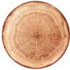 Assiette coupe plate rond timber porcelaine vitrifiée Ø 20,9 cm Woodart - RAK Clearance