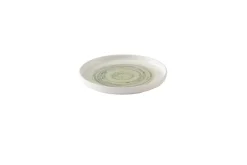Assiette coupe plate rond vert porcelaine vitrifiée Ø 21 cm Elements Fern - CHURCHILL Online