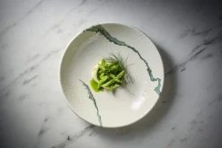 Assiette coupe plate rond vert porcelaine vitrifiée Ø 26 cm Inked Tide Accents - CHURCHILL